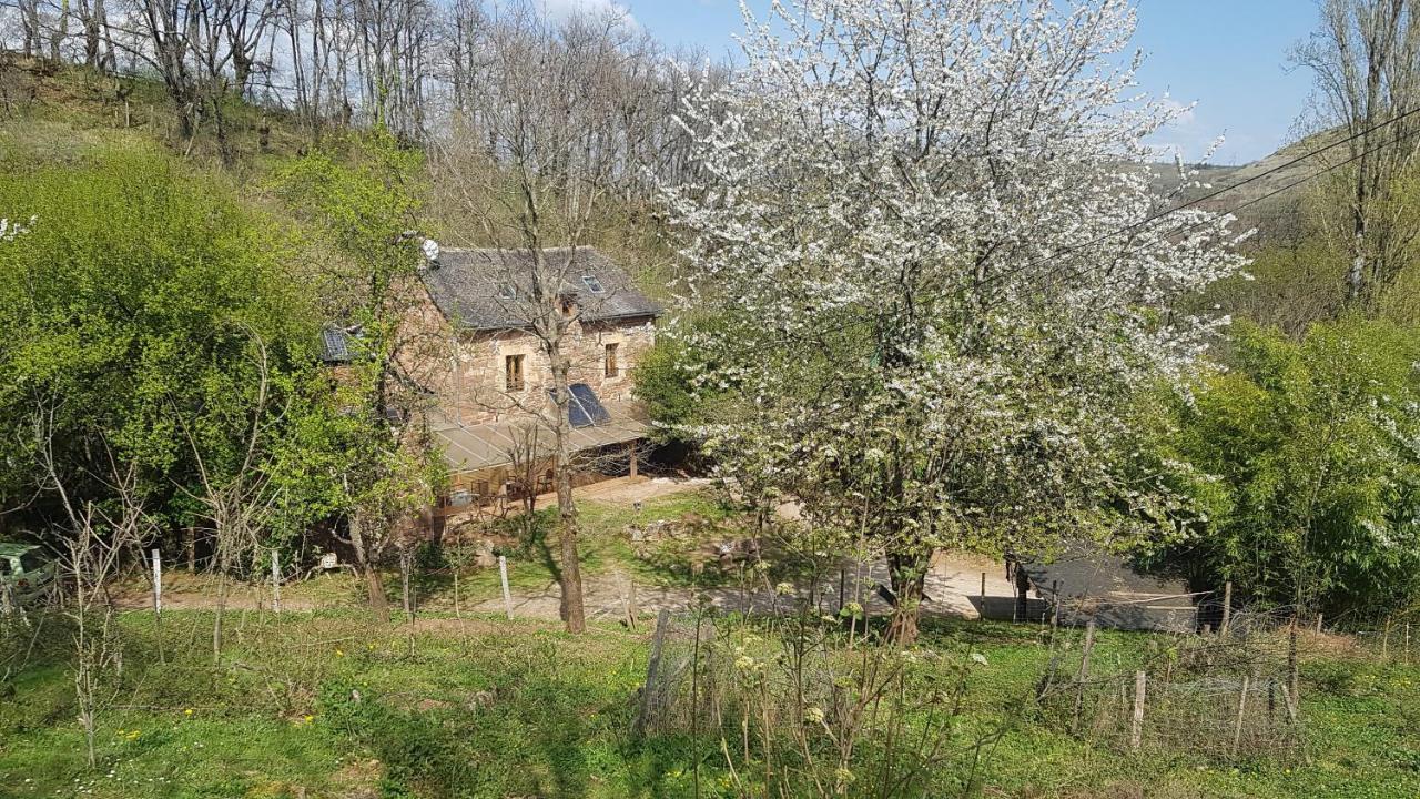 maison isolée dans les vignes et les bois Valady Exterior foto