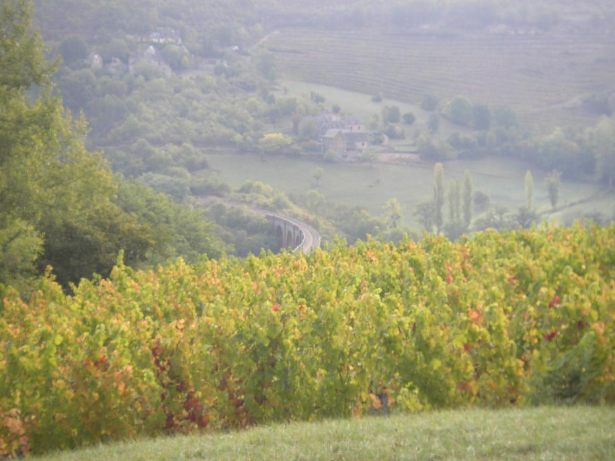 maison isolée dans les vignes et les bois Valady Exterior foto