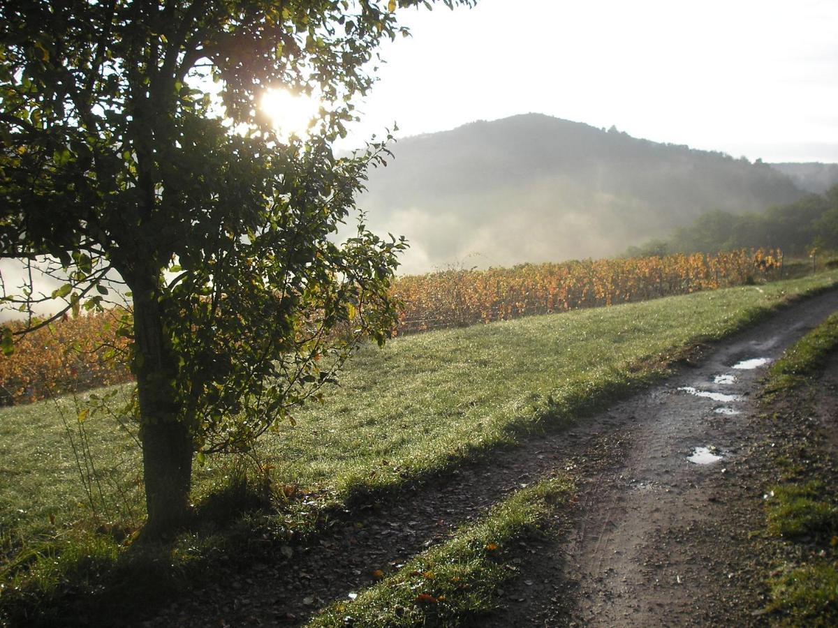 maison isolée dans les vignes et les bois Valady Exterior foto